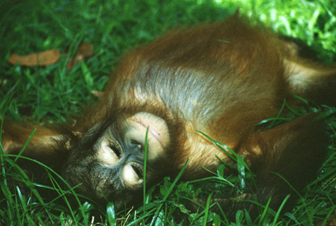 Séance de relaxation